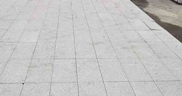 三沙芝麻白地铺案例