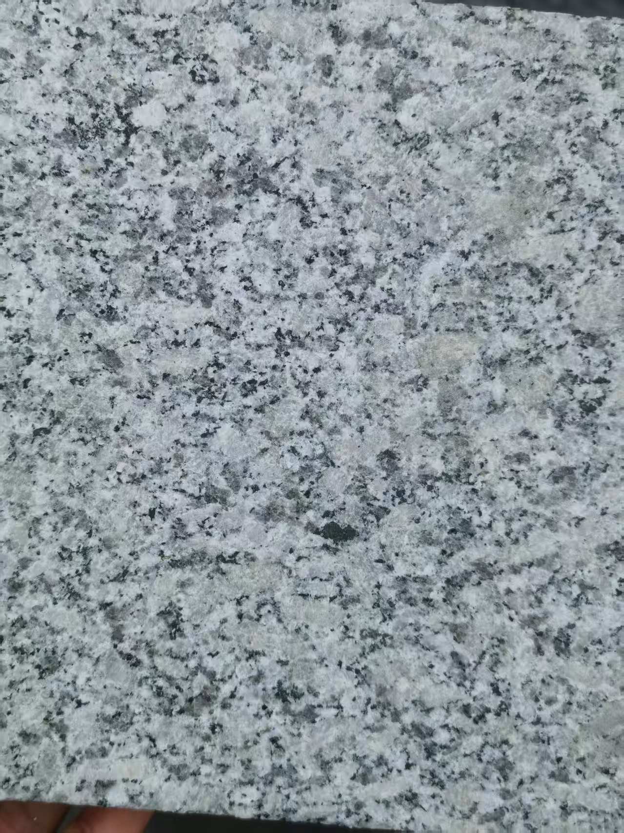 三沙 芙蓉白火烧面