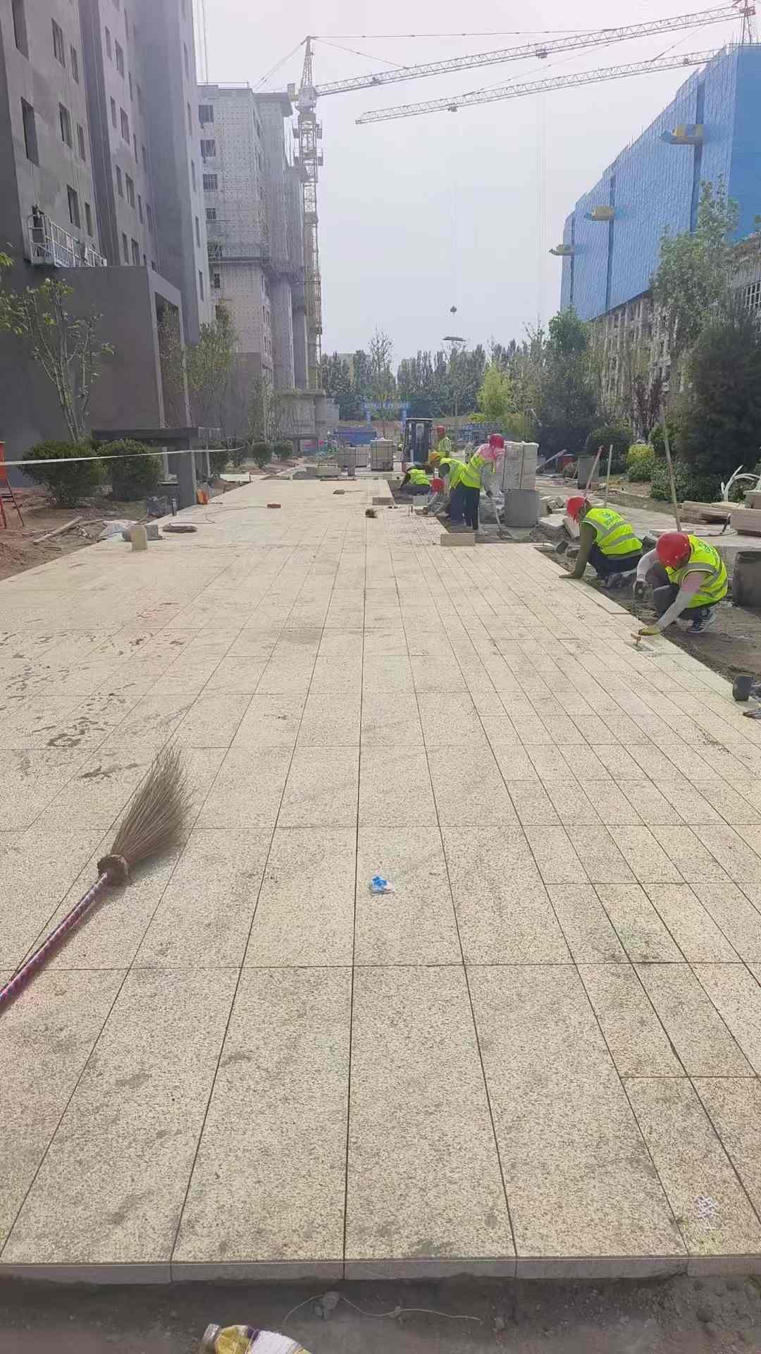 三沙黄金麻荔枝面地铺案例